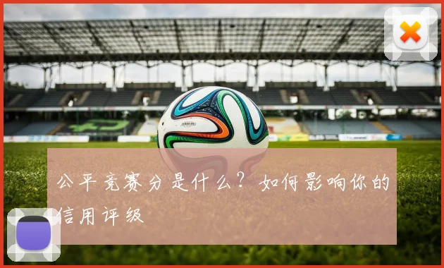 公平竞赛分是什么？如何影响你的信用评级